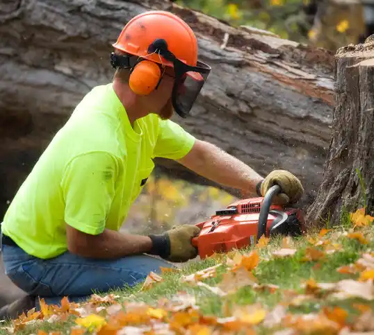 tree services Richville